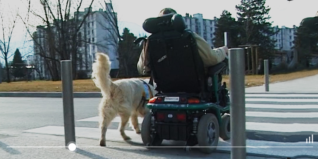 Vidéo L'autre regard