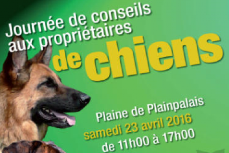 Journée Infos Conseils Aux Propriétaires De Chiens