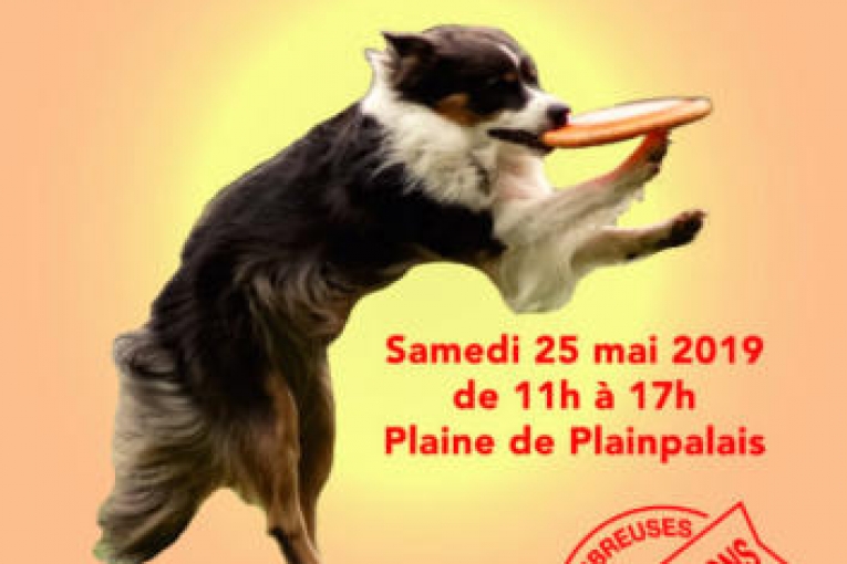 Journée de conseils aux propriétaires de chien