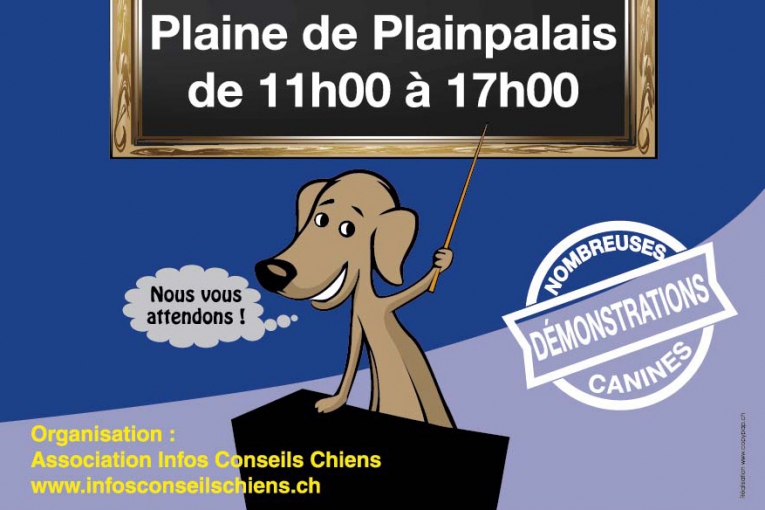 Affiche annonçant des démonstrations canines à la Plaine de Plainpalais de 11h à 17h, organisée par Infos Conseils Chiens.