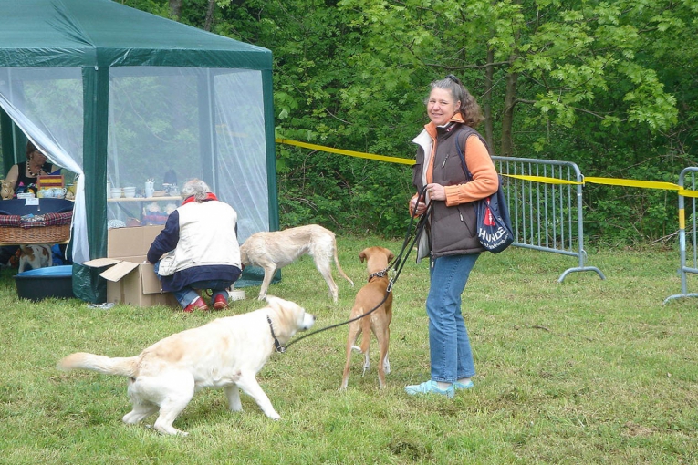 Une dame souriante tient deux chiens en laisse lors d’un événement canin en plein air, près d’une tente.