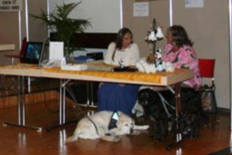 Deux dames discutent à une table d’exposition, accompagnées de deux chiens d’assistance couchés au sol, dans une salle d’intérieur.