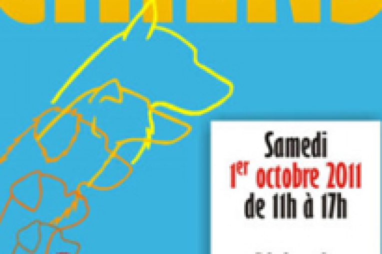 Affiche annoncent une Journée de conseils aux propriétaires de chiens, organisée par l’Association Info Conseils Chiens.