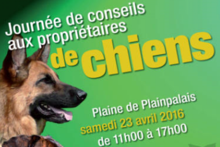 Affiche de la Journée de conseils aux propriétaires de chiens, samedi 23 avril 2016 à Plainpalais, Genève.