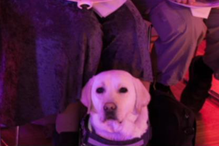 Chien d’assistance assis entre deux dames, éclairé par une lumière violette en intérieur.
