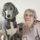 Une dame aux cheveux gris portant des lunettes, assise à côté de son chien Percy, caniche royal.