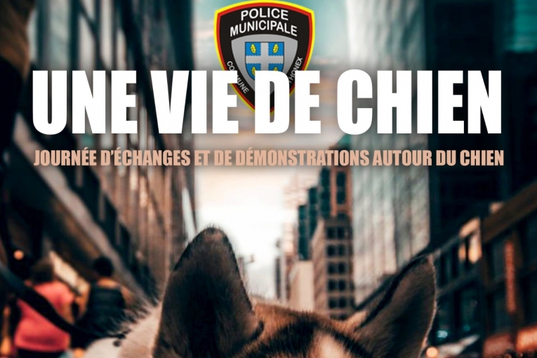 Affiche "Une vie de chien", journée d'échanges et de démonstrations autour du chien.