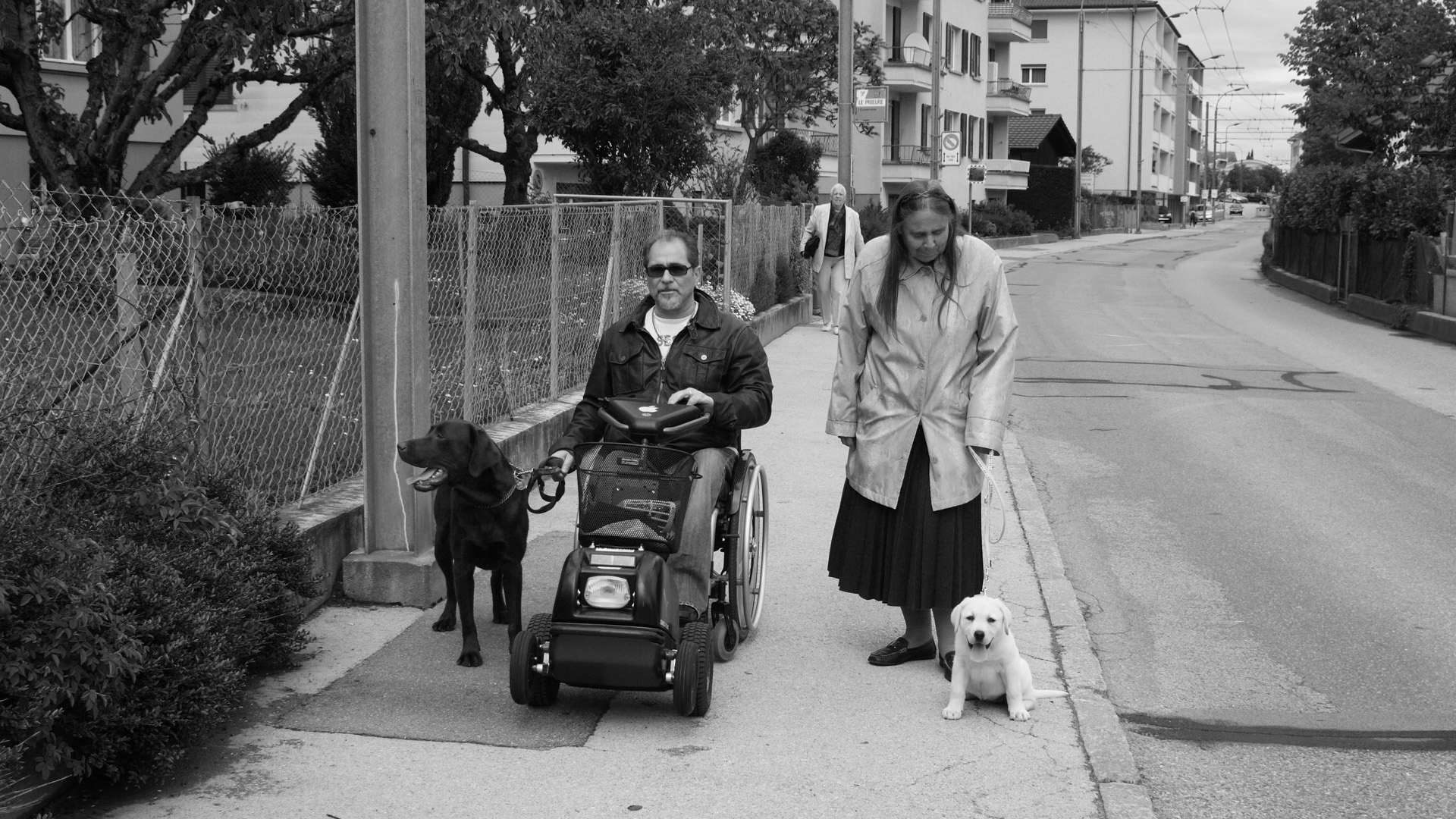 Un homme en fauteuil roulant tient un chien brun en laisse, tandis qu’une dame marche à ses côtés avec un jeune chiot labrador assis au bord du trottoir.