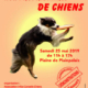 Affiche de la journée de conseils aux propriétaire de chiens le 25 mai 2019.