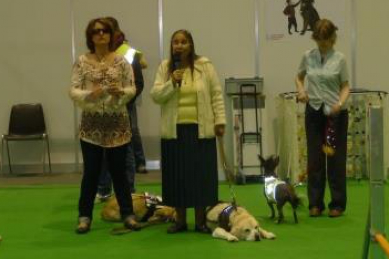 Trois dames debout avec leurs chiens d’assistance allongés ou en laisse, pendant une démonstration publique.