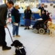 Stand de présentation de l'Association L'Autre Regard, accompagné de chiens d’assistances et de plusieurs membres, dans un centre commerciale.