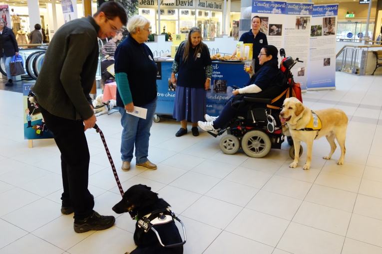Stand de présentation de l'Association L'Autre Regard, accompagné de chiens d’assistances et de plusieurs membres, dans un centre commerciale.
