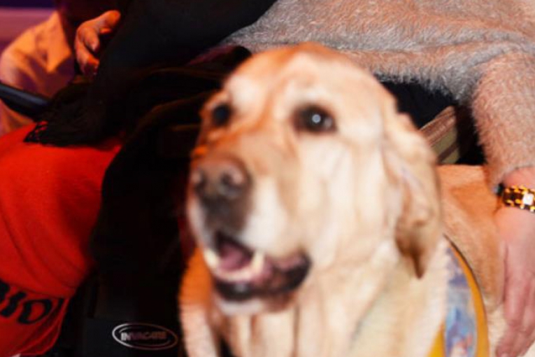 Une dame en fauteuil roulant, à côté de son chien d’assistance Sorbonne, attentif et calme.