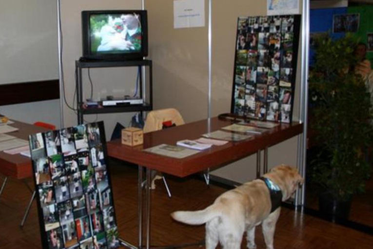 Chien d’assistance observant un stand d’exposition avec panneaux photo, documents informatifs et écran diffusant une vidéo.